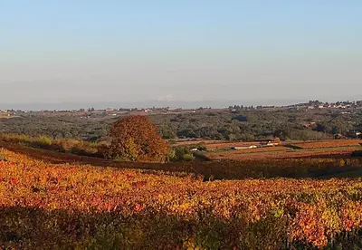 Paysage naturel près de l'appartement