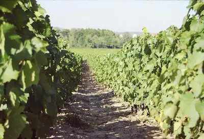 Plan de l'établissement Chambres d hôtes au Domaine de Robert