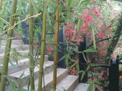 Jardin de l'établissement L'ABRI du château SPA et détente