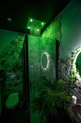 Salle de bains dans l'établissement JUNGLE ROOM évadez vous cosy luxe gare autoroute