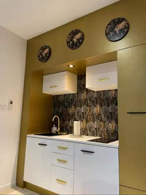 Cuisine ou kitchenette dans l'établissement Studio Cosy tt confort proche aéroport
