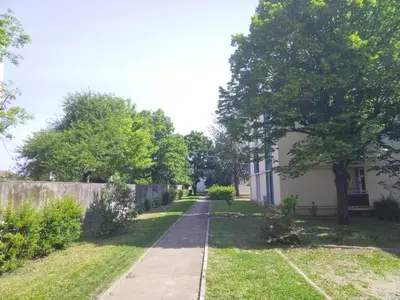 Jardin de l'établissement Résidence du parc des Tilleuls de Lyon 82 m2 Pkg free