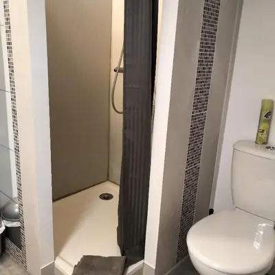 Salle de bains dans l'établissement Espace Beléverte Bussière 2 Albizia appartement meublé de 2 chambres