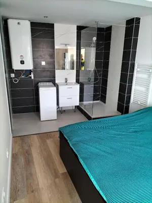 Cuisine ou kitchenette dans l'établissement Appartement 2 pièces