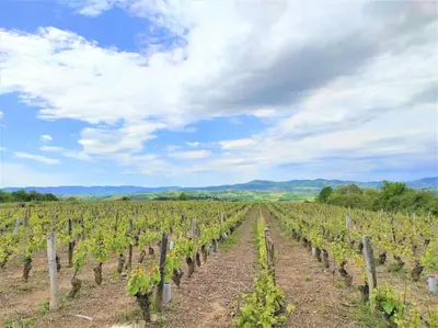 Paysage naturel près de l'appartement