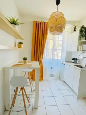 Cuisine ou kitchenette dans l'établissement STUDIO VAISE 1 DANS 69009 LYON