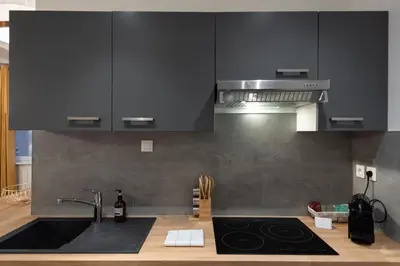 Cuisine ou kitchenette dans l'établissement Le Nid du Lion - Joli T2 quartier St Georges au calme