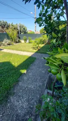 Jardin de l'établissement K&N - Maison à partager avec d'autres voyageurs - Chambre privée - Jardin - Balcon