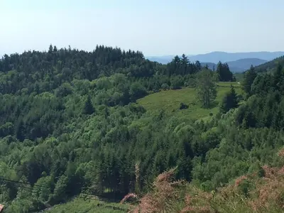 Paysage naturel près de la maison de vacances