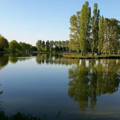 Paysage naturel près de le camping