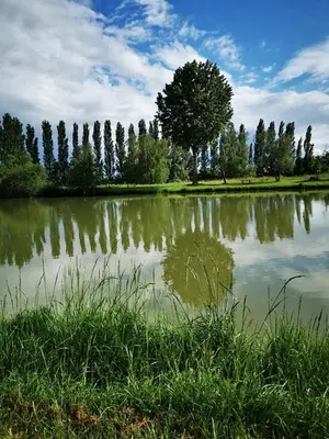 Paysage naturel près de le camping
