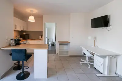 Cuisine ou kitchenette dans l'établissement Le Gaïa - Joli appartement au calme 10min du centre de Lyon