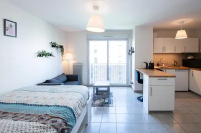 Cuisine ou kitchenette dans l'établissement Le Gaïa - Joli appartement au calme 10min du centre de Lyon