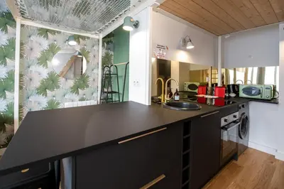 Cuisine ou kitchenette dans l'établissement Le Canopée - Beau studio atypique quais du Rhône
