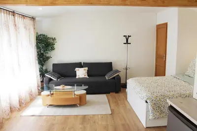 Coin salon dans l'établissement Saint Etienne : appartement Châteaucreux 40 M2