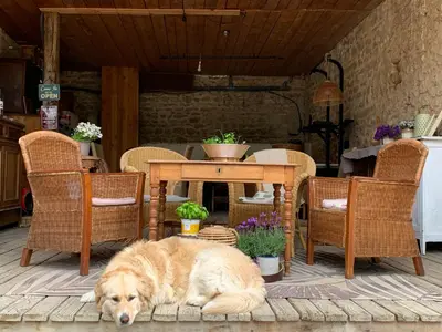 Animal ou animaux domestique(s) séjournant avec des clients dans l'établissement La Ferme du Puy d'Or