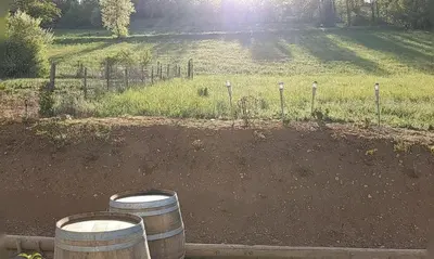 Jardin de l'établissement Chambre double indépendante AVIATEUR au sein du domaine PASSELOUP