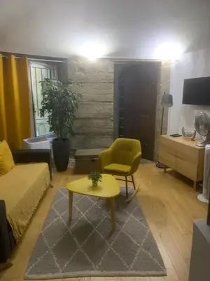 Télévision ou salle de divertissement dans l'établissement Midoon guest - LA VERRIERE DES TERREAUX - Lyon 1er