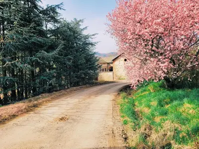 Paysage naturel près de la maison de vacances