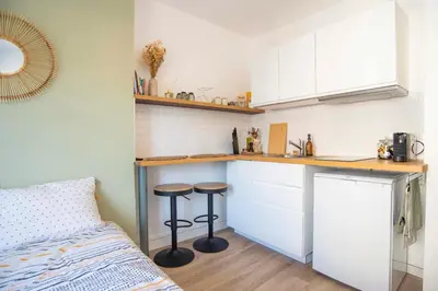 Cuisine ou kitchenette dans l'établissement Petit Studio De 14m Au Coeur De Lyon