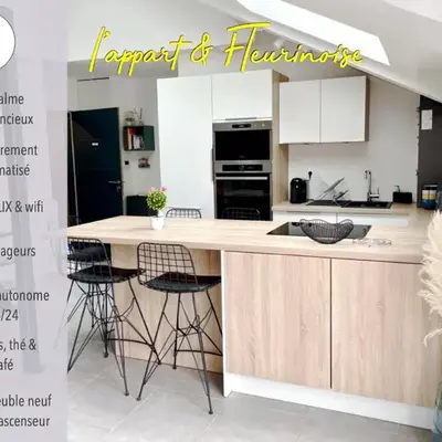 Appart & Fleurinoise balcon ascenseur climatisation