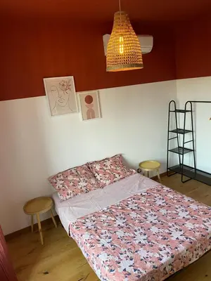 Un ou plusieurs lits dans un hébergement de l'établissement Maison lyon 8 jardin parking studio indépendant sur demande