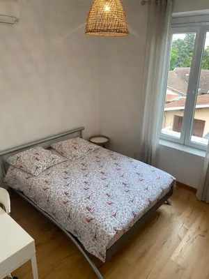 Un ou plusieurs lits dans un hébergement de l'établissement Maison lyon 8 jardin parking studio indépendant sur demande