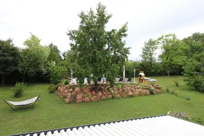 Jardin de l'établissement Le grain de Louise