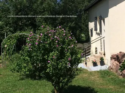 Jardin de l'établissement Le grain de Louise