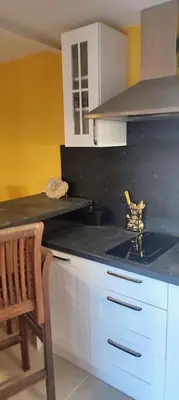 Cuisine ou kitchenette dans l'établissement Le gîte des Pierres Dorées