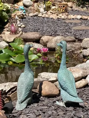 Animaux dans le B&B/chambre d'hôtes ou à proximité