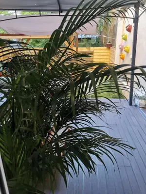 Balcon ou terrasse dans l'établissement Lyon superbe jacuzzi vue sur jardin