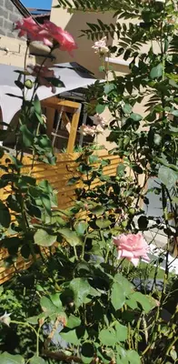 Jardin de l'établissement Lyon superbe jacuzzi vue sur jardin