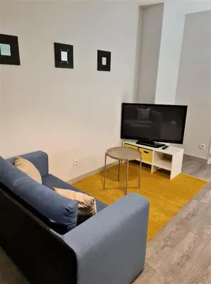 Télévision ou salle de divertissement dans l'établissement Grand Studio Lyon Villeurbanne Proche Metro - Wifi