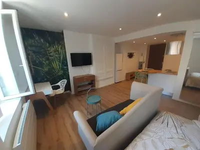 Télévision ou salle de divertissement dans l'établissement Classé 3 Etoiles IDEAL VIENNE Centre ville 20 min de LYON