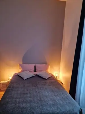 Un ou plusieurs lits dans un hébergement de l'établissement appartement cosy en centre ville avec terrasse