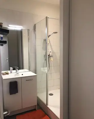 Salle de bains dans l'établissement T2 rénové Part-Dieu