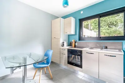 Cuisine ou kitchenette dans l'établissement Studio meublé Saint-Cyr-au-mont-d'or