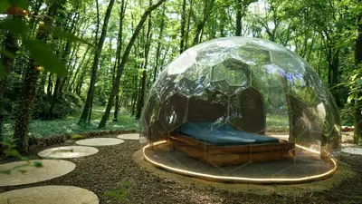 Jardin de l'établissement Ô Pays Des Bois - Hébergements insolites en pleine nature