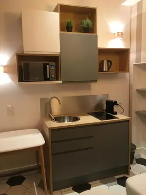 Cuisine ou kitchenette dans l'établissement Charmant studio Lyon Terreaux - hyper centre