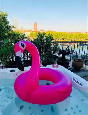 Plan de l'établissement Coeur de Lyon avec Terrasse et Jacuzzi