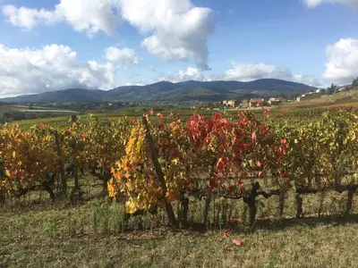 Paysage naturel près de le séjour chez l'habitant