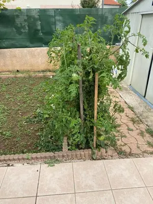 Jardin de l'établissement Studio - Carré de Soie Vaulx en Velin