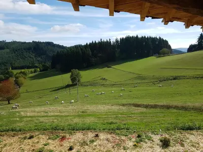Paysage naturel près de le lodge