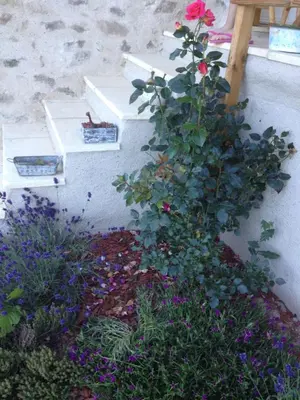 Jardin de l'établissement Le domaine des Terres