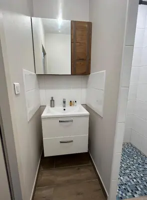 Salle de bains dans l'établissement Appartement rénové à 15 min de Lyon