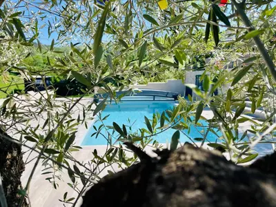 Piscine de l'établissement Gîte le grand chacel ou située à proximité
