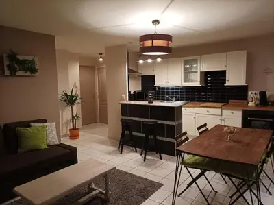 Cuisine ou kitchenette dans l'établissement Ecully, appartement au calme de 50m².