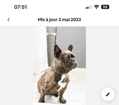 Animal ou animaux domestique(s) séjournant avec des clients dans l'établissement Chambre cosy
