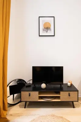 Télévision ou salle de divertissement dans l'établissement L'Opéra 9-Joli studio proche Opéra/Hôtel de Ville